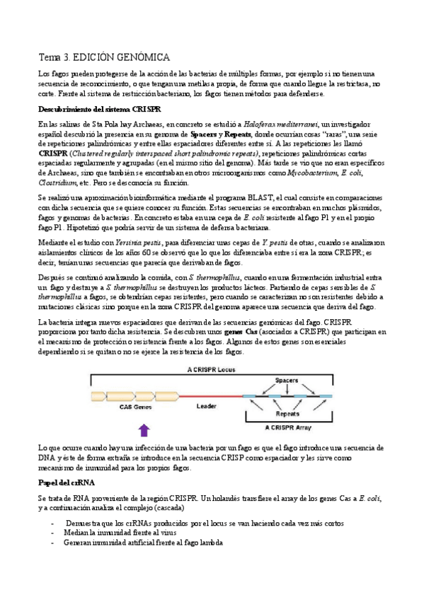 Miniatura del documento Tema 3 Biotecno I.pdf