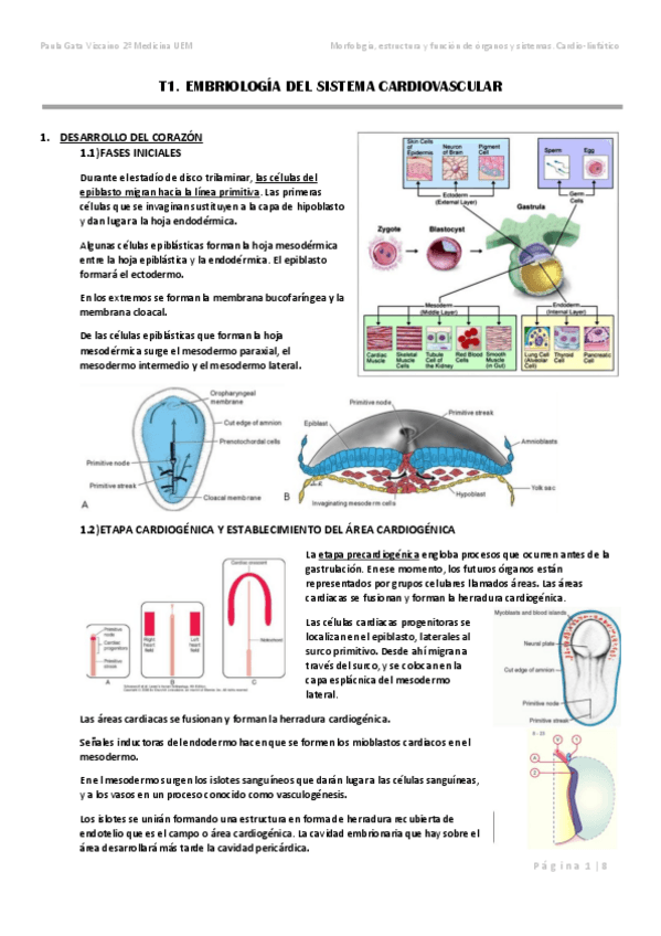 Miniatura del documento T1.pdf