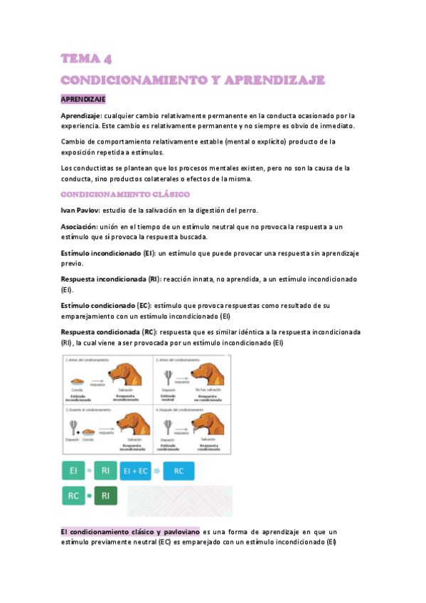 Miniatura del documento TEMA-4-APRENDIZAJE.pdf