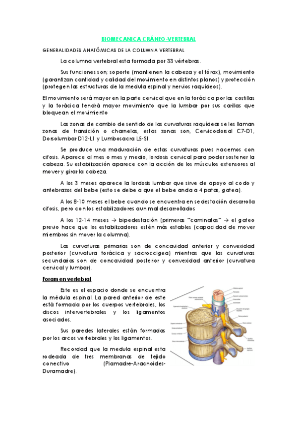 Miniatura del documento Tema-1-Craneocervical-.pdf