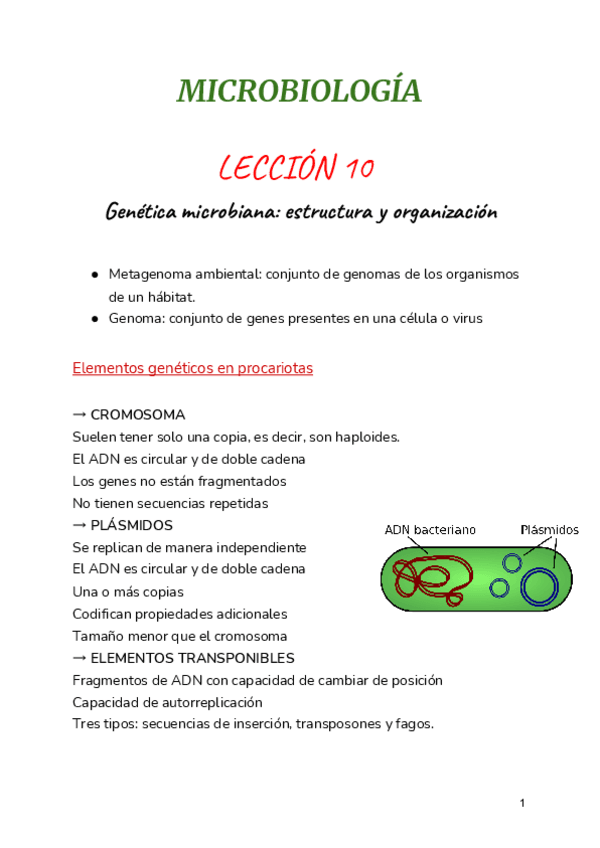 Miniatura del documento LECCION-10.pdf