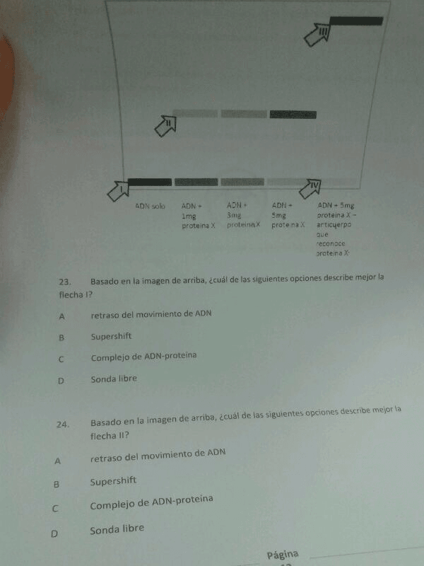 Miniatura del documento 44F4F52E-584C-4238-BC60-2A785C04CA48.jpg