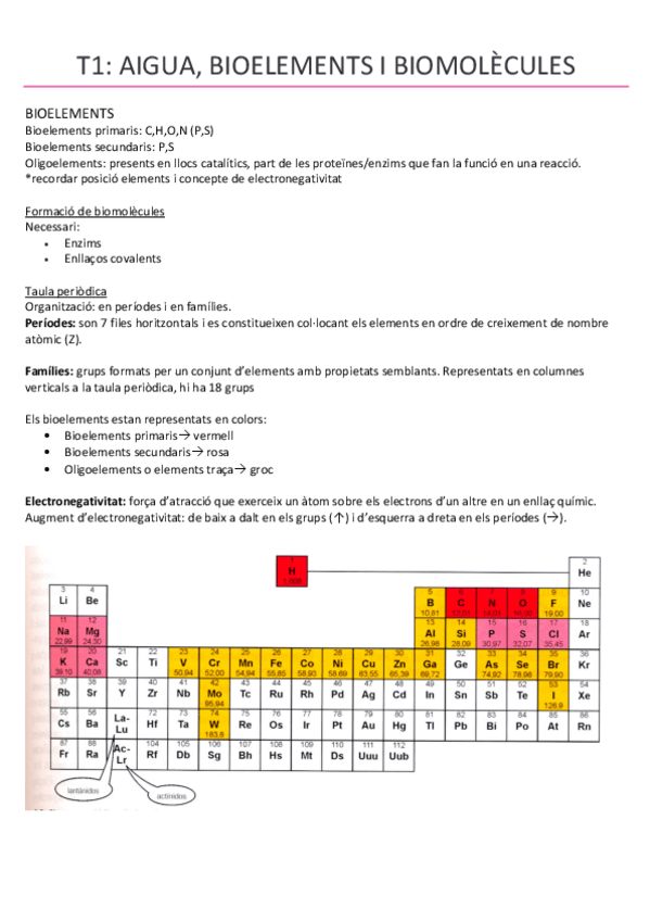 Miniatura del documento t1-aigua-i-biomolecules.pdf