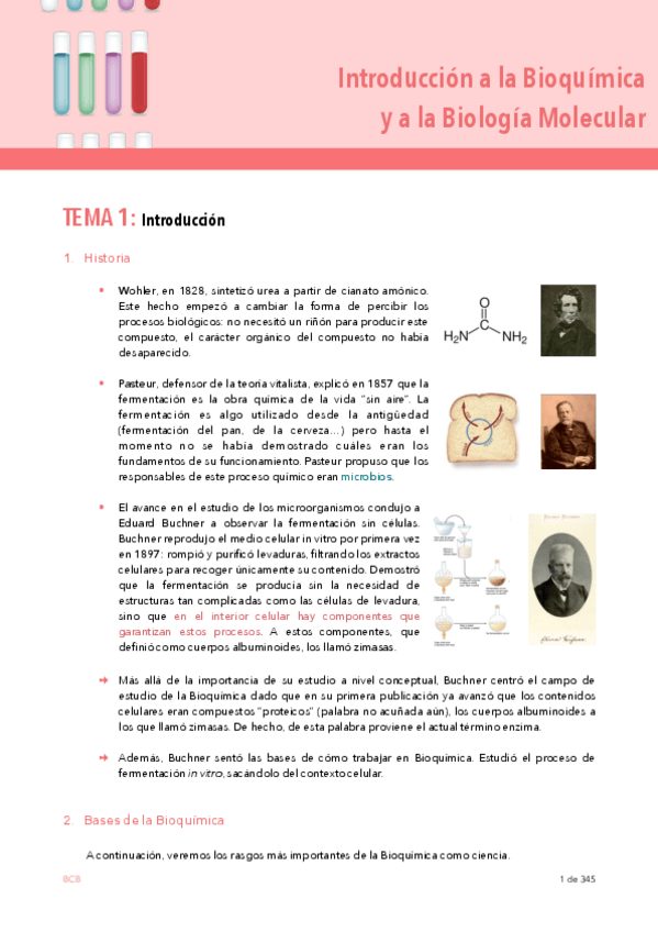 Miniatura del documento IBQyBM-temas-1-2.pdf