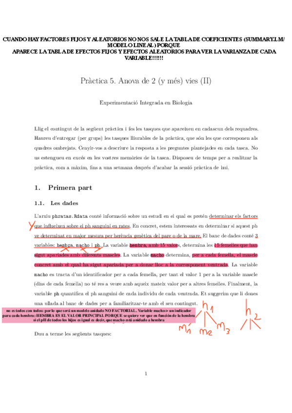 Miniatura del documento Practica5.pdf