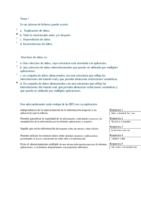 Miniatura del documento Cuestionarios.pdf