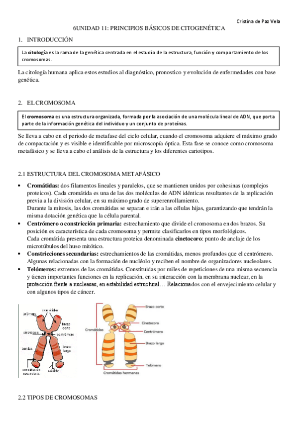 Miniatura del documento TEMA-11.pdf