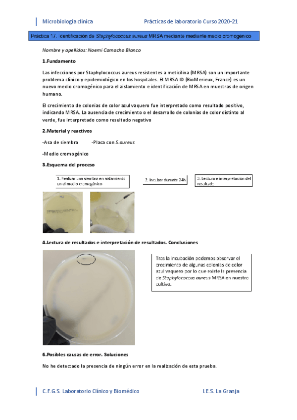 Miniatura del documento PRAC-17.pdf