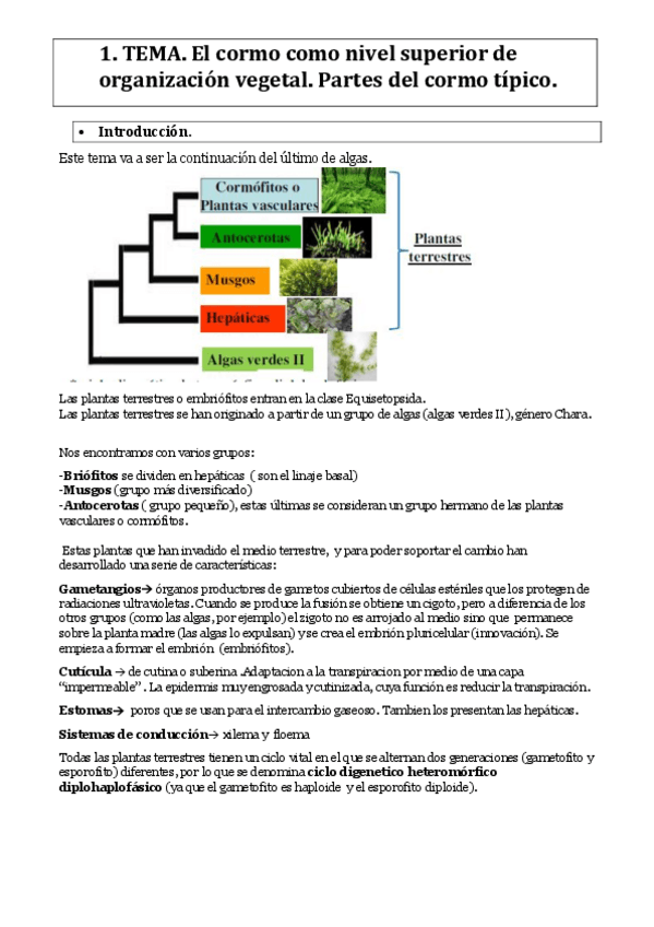 Miniatura del documento TEMA-1.pdf