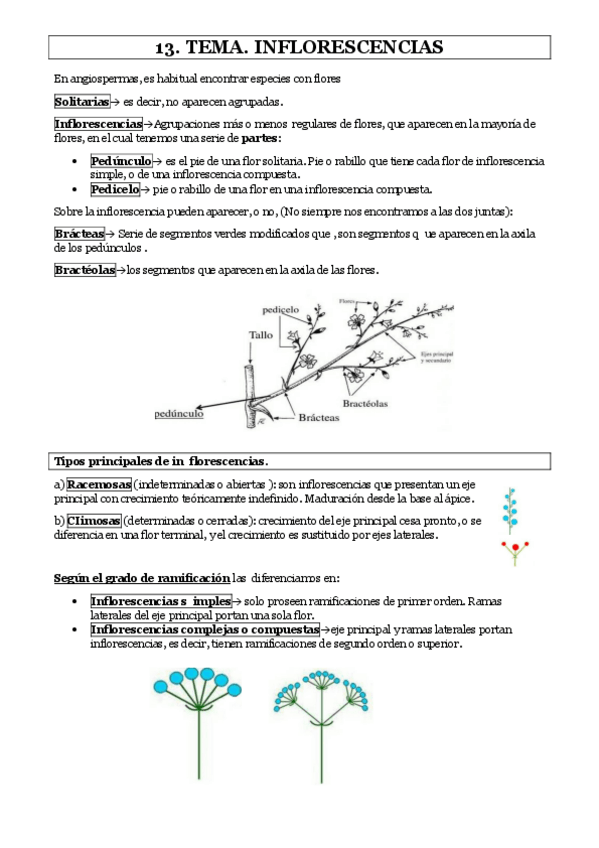 Miniatura del documento TEMA-13-.pdf