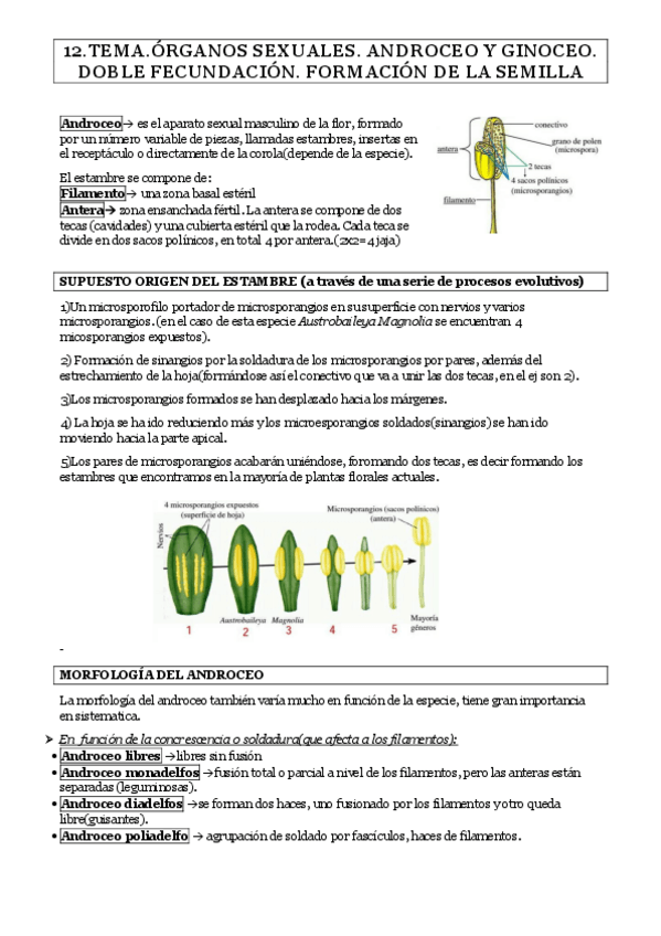 Miniatura del documento TEMA-12.pdf