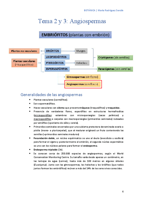 Miniatura del documento Tema-2-y-3-Angiospermas.pdf