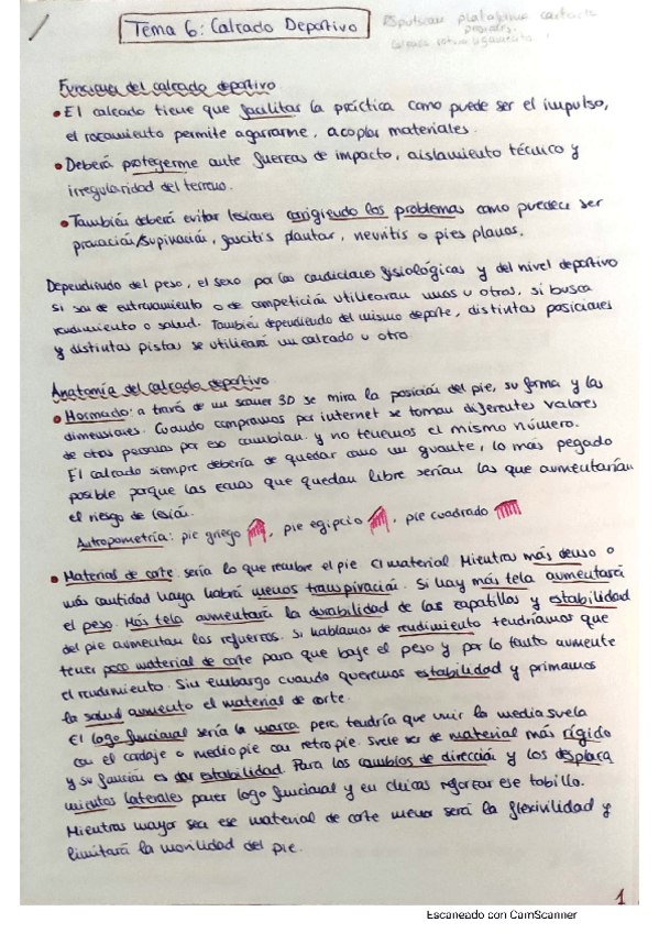 Miniatura del documento CamScanner-02-02-2021-13.pdf