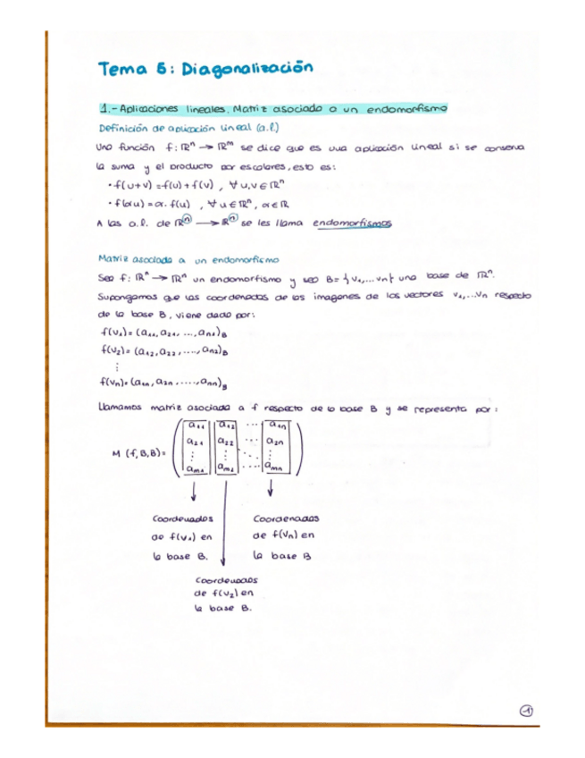 Miniatura del documento Tema-5-Diagonalizacion-.pdf