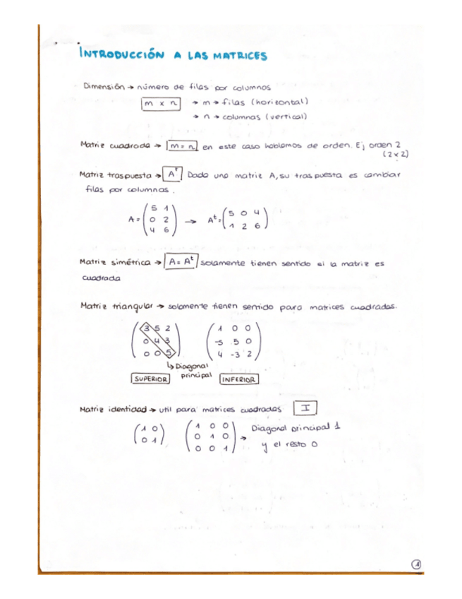 Miniatura del documento Tema-1-LAS-MATRICES.pdf