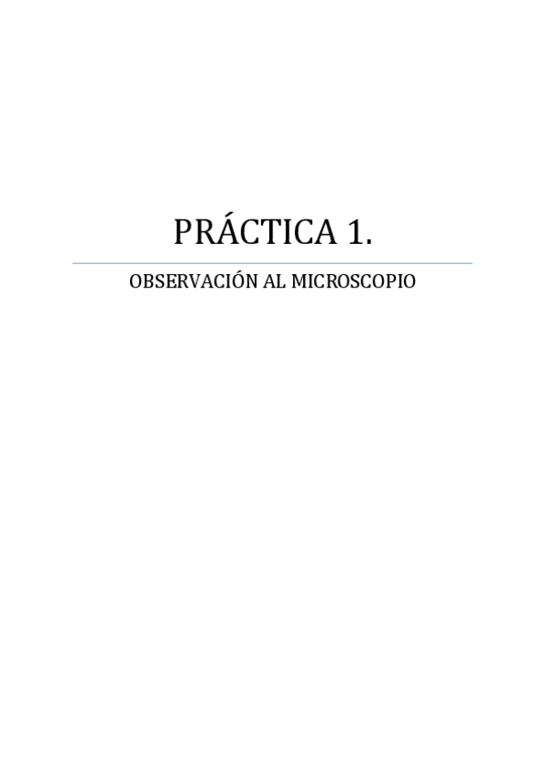 Miniatura del documento PRACTICA-1-observacion-al-microscopio.pdf