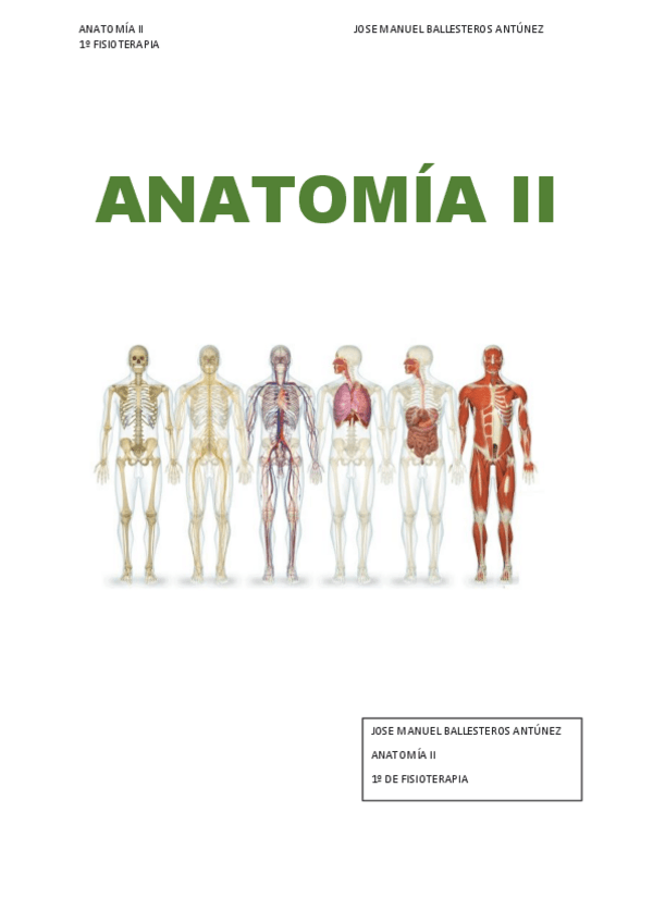 Miniatura del documento BLOQUE-VASCULARIZACION-E-INERVACION.pdf
