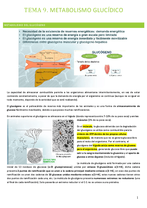 Miniatura del documento Tema-9.pdf