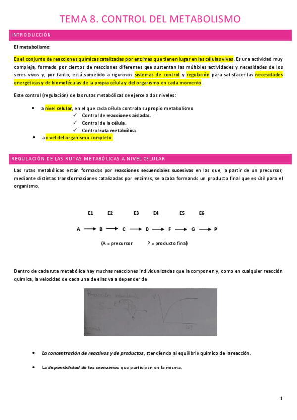 Miniatura del documento Tema-8.pdf