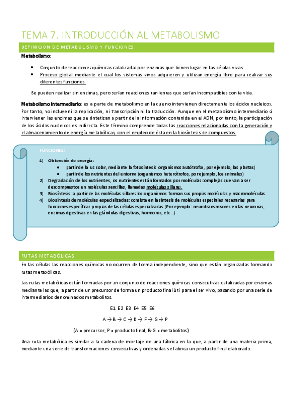 Miniatura del documento T.pdf