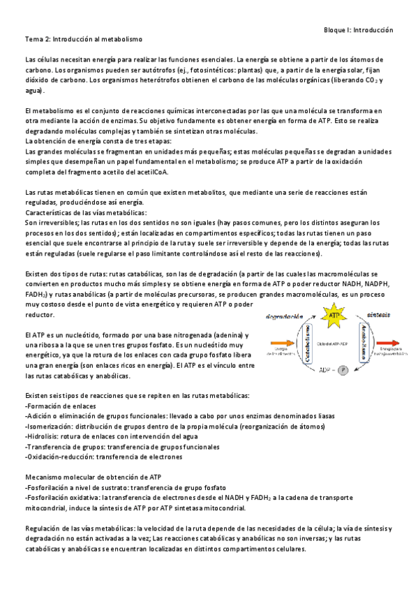 Miniatura del documento Bloque I .pdf