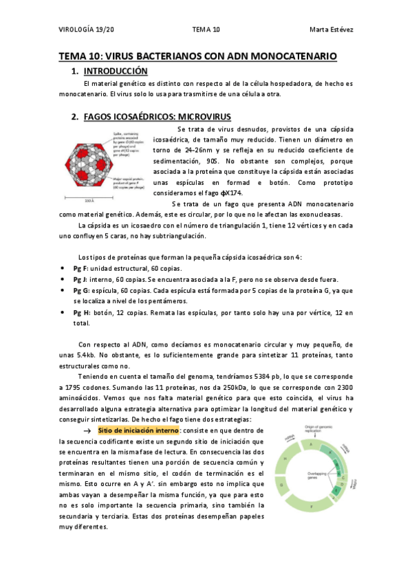 Miniatura del documento TEMA-10.pdf