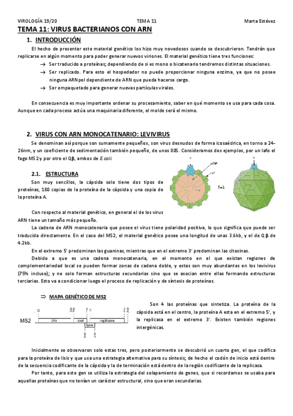 Miniatura del documento TEMA-11.pdf