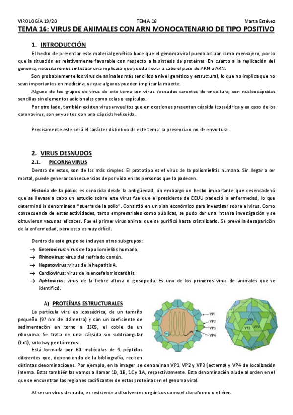 Miniatura del documento TEMA-16.pdf