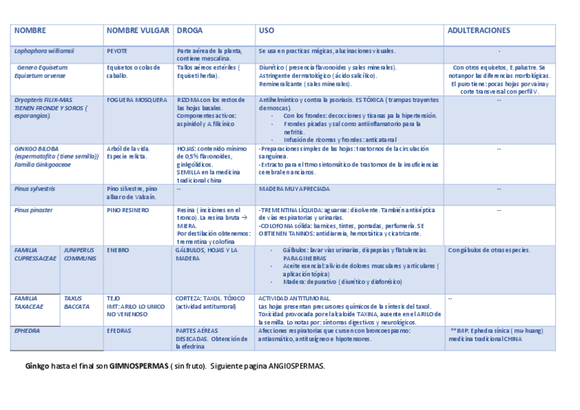 Miniatura del documento RESUMEN-DE-TOOD.pdf