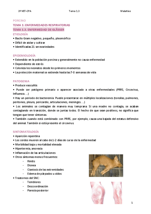 Miniatura del documento TEMA-1.pdf