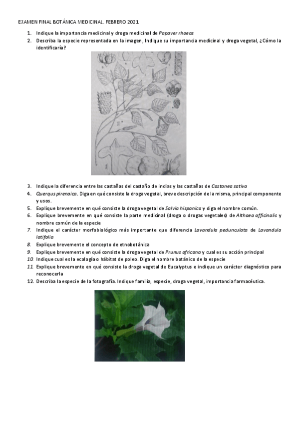 Miniatura del documento EXAMEN-FINAL-BOTANICA-MEDICINAL.pdf