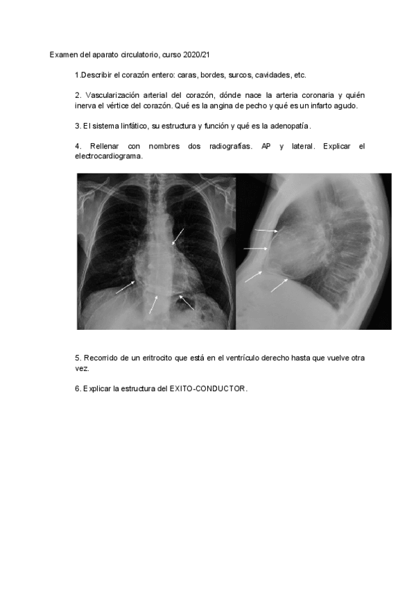 Miniatura del documento Documento-sin-titulo.pdf