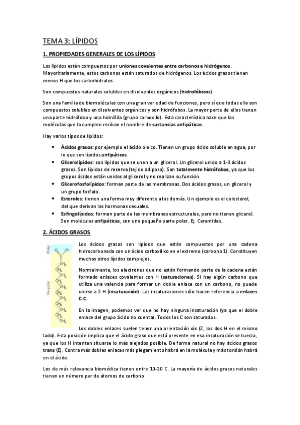 Miniatura del documento TEMA-3.pdf
