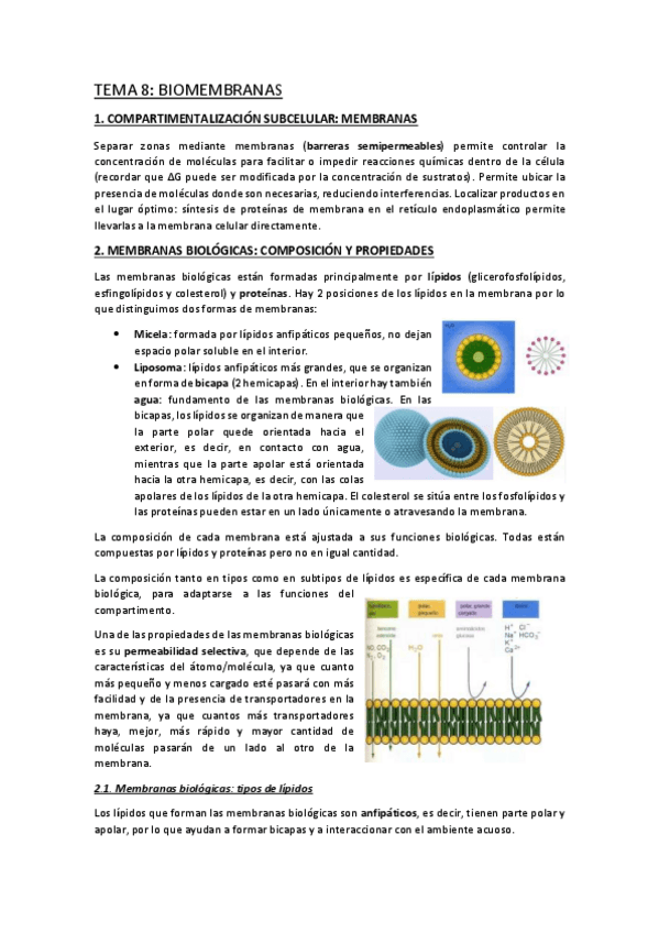 Miniatura del documento TEMA-8.pdf