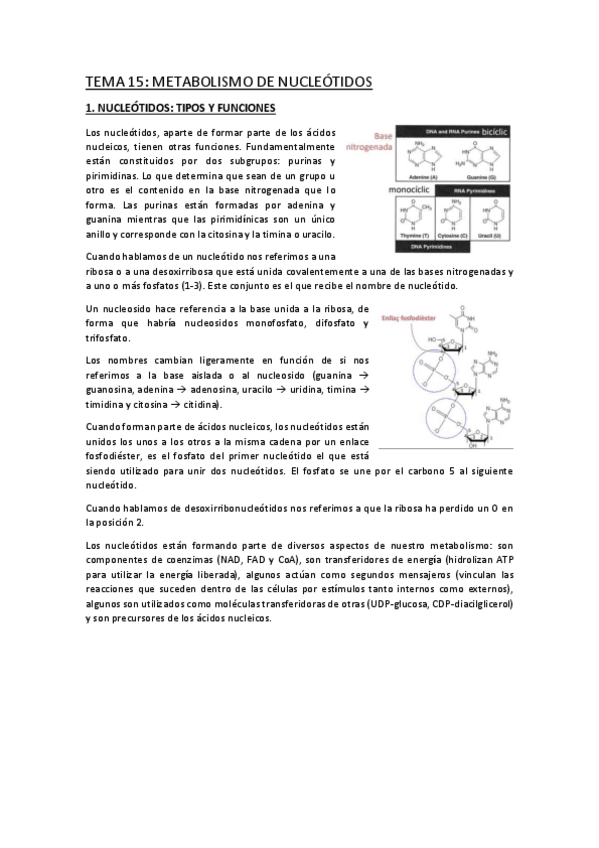 Miniatura del documento TEMA-15.pdf
