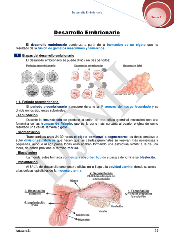Miniatura del documento 5.pdf