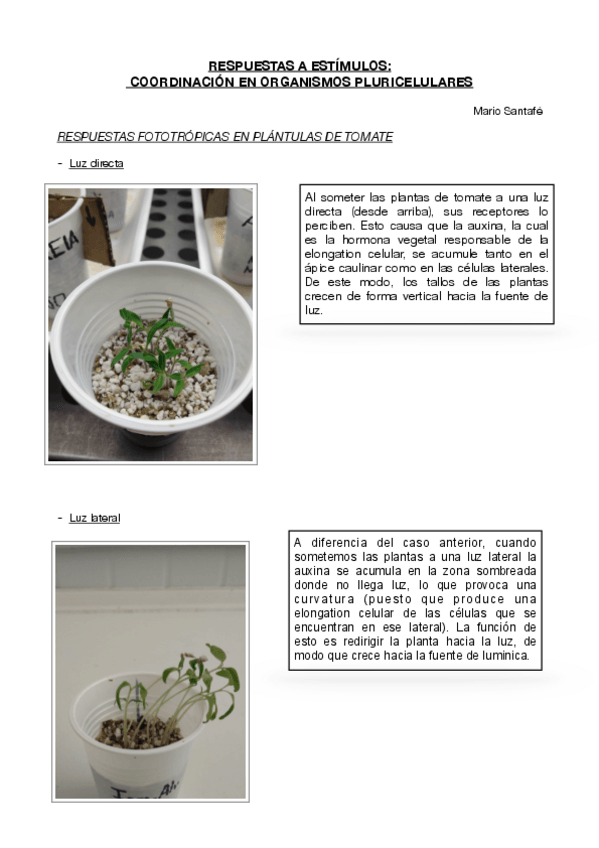 Miniatura del documento Practica.pdf
