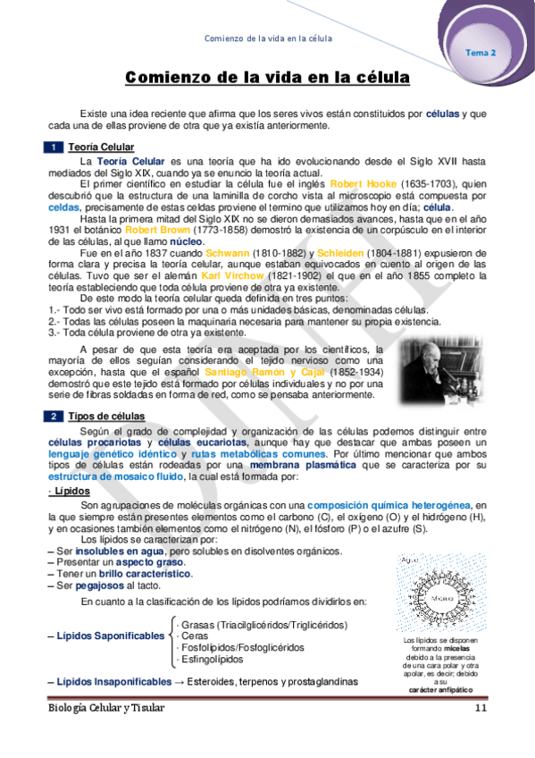 Miniatura del documento 2.pdf