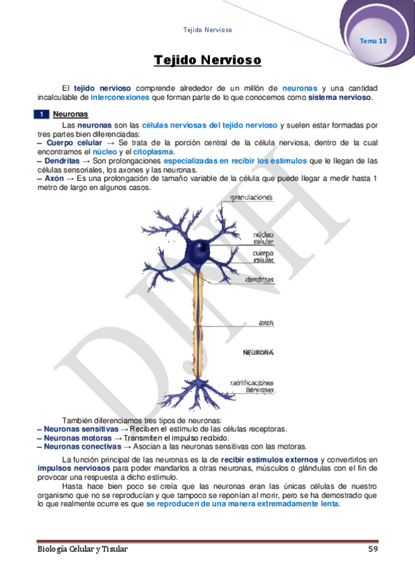 Miniatura del documento 13.pdf