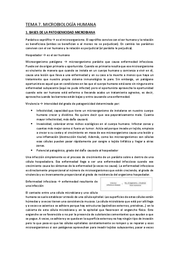 Miniatura del documento TEMA-7.pdf