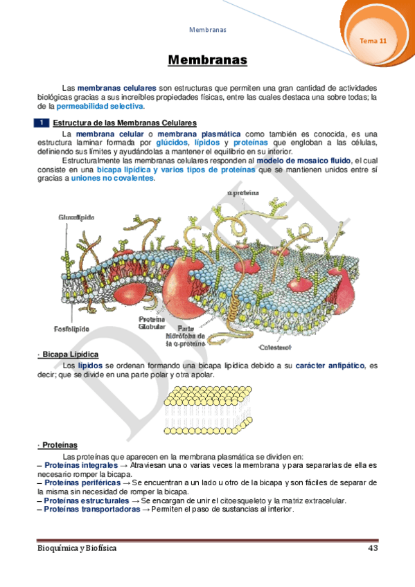 Miniatura del documento 11.pdf