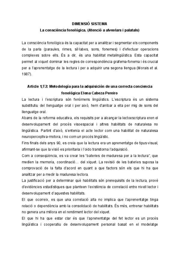 Miniatura del documento Dimensio-Sistema-teoria.pdf