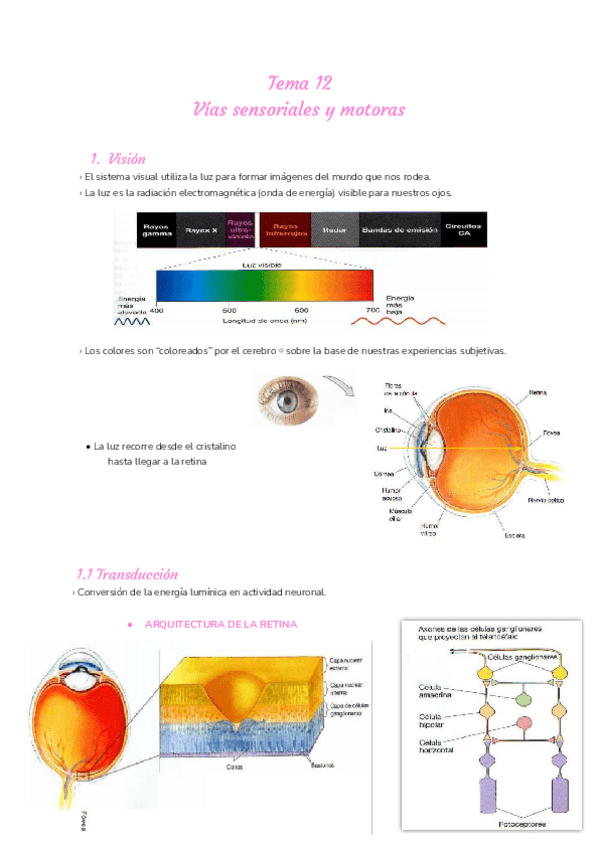 Miniatura del documento Tema-12.pdf