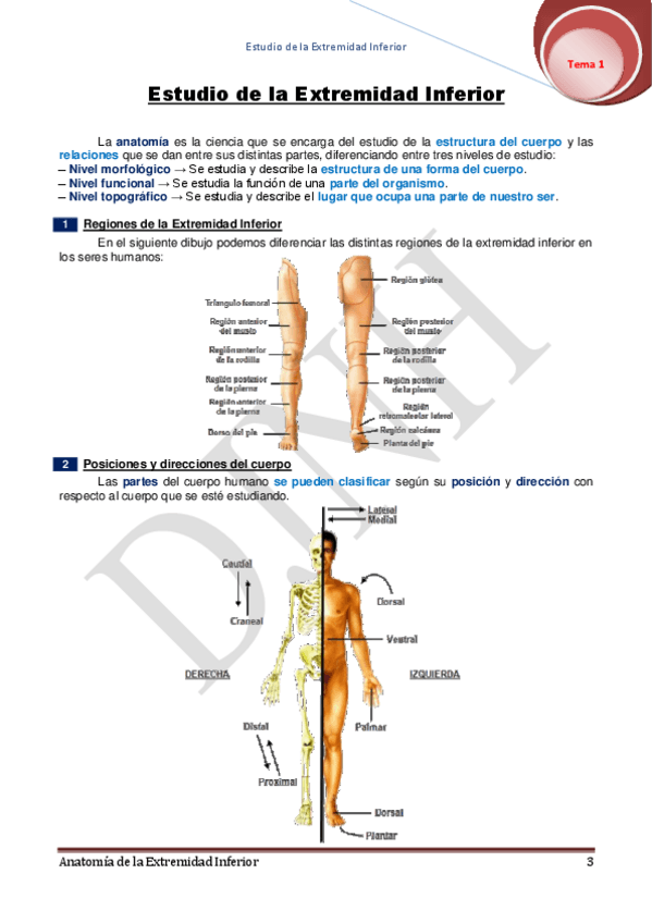 Miniatura del documento 1.pdf