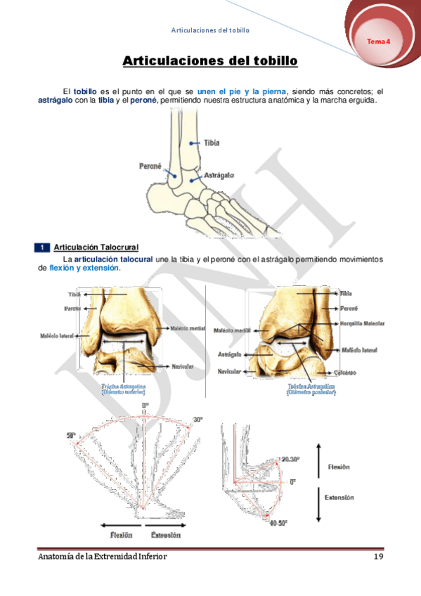 Miniatura del documento 4.pdf