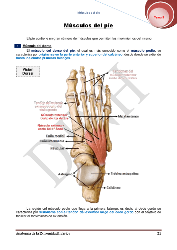 Miniatura del documento 5.pdf