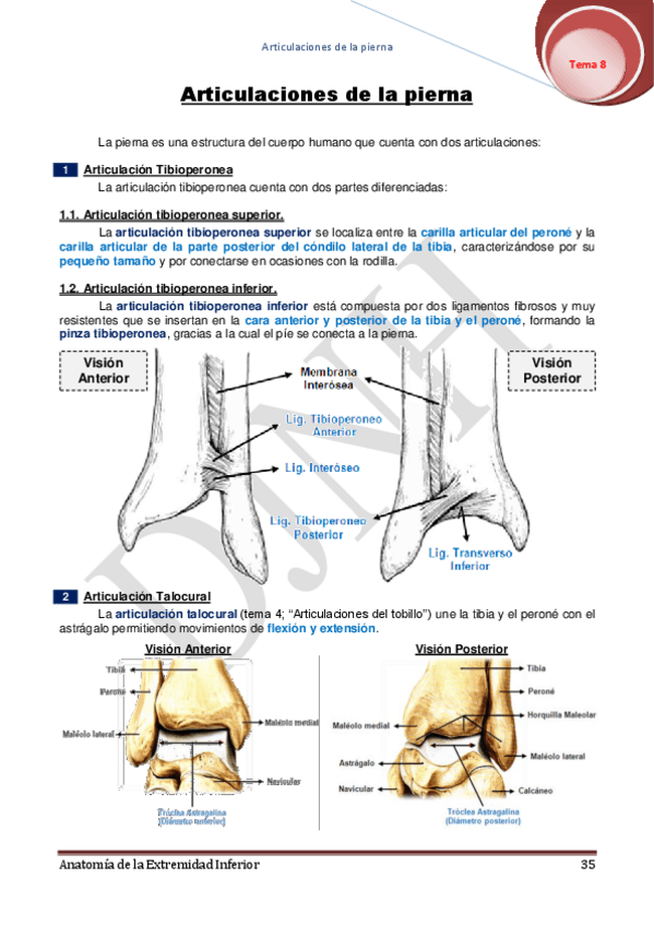 Miniatura del documento 8.pdf