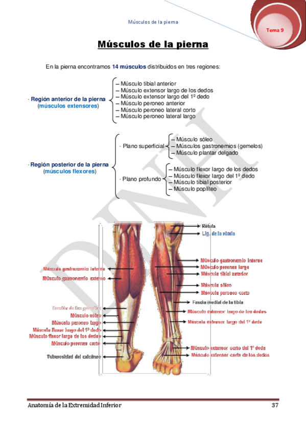 Miniatura del documento 9.pdf