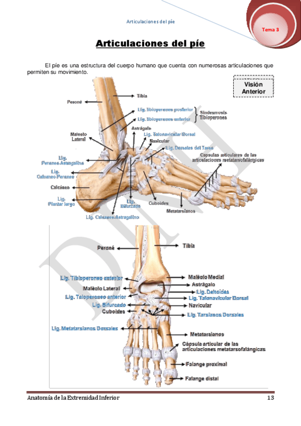 Miniatura del documento 3.pdf