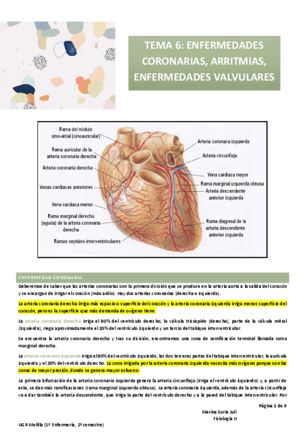 Miniatura del documento T6-FISIO-II.pdf
